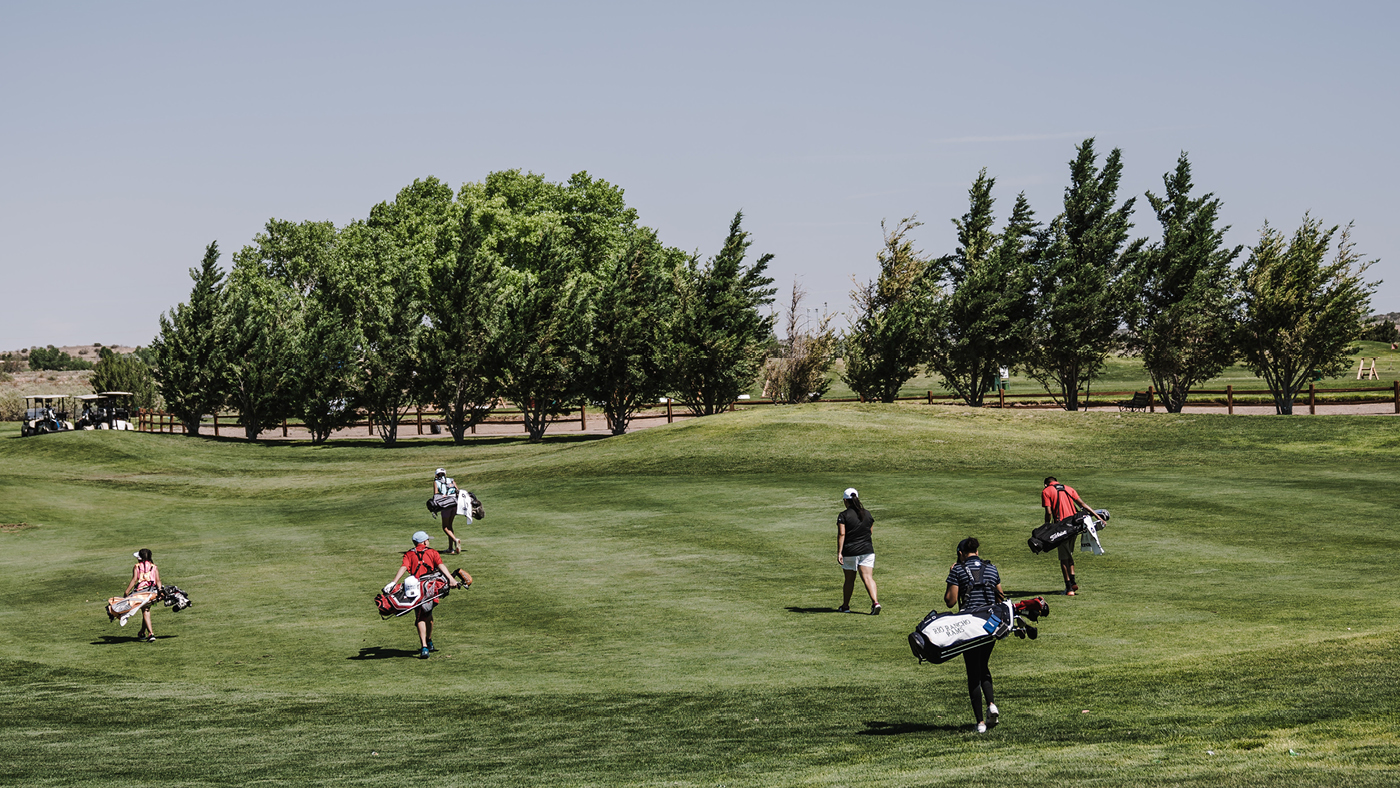 Landscape view of a golf course with a lake surrounded by large trees.